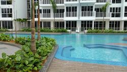 Forestville (D25), Condominium #532566511